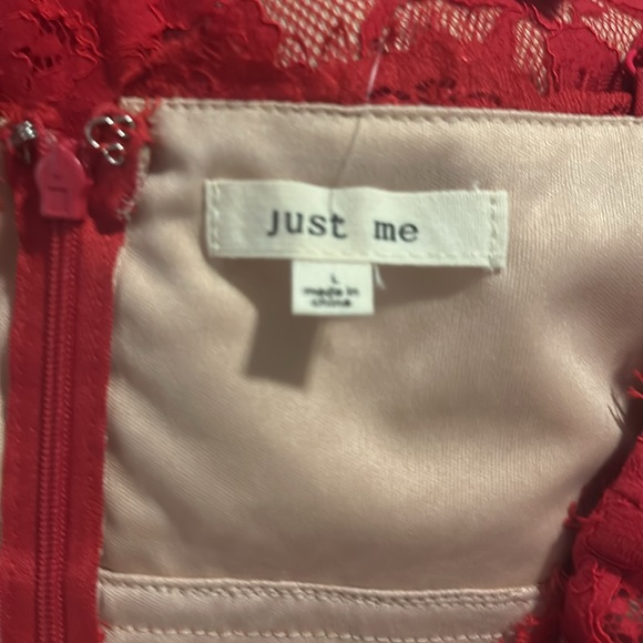 NWT Red lace dress size L. Great dress for Valentine’s Day!! - Picture 3 of 3